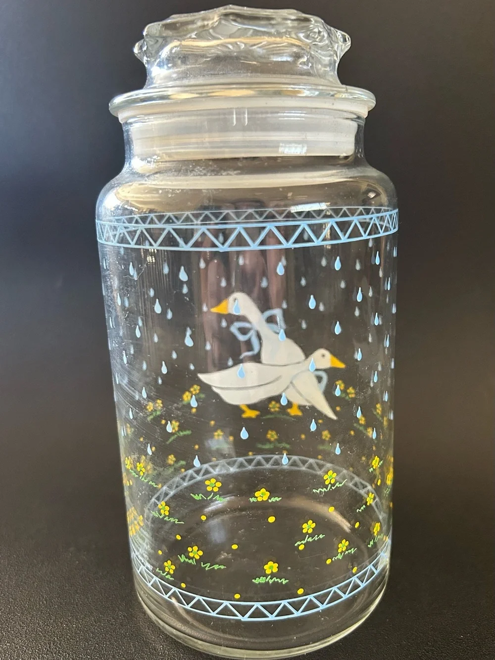 Cottage Core Clear Glass Storage Jar with White Duck Design - Blue Accents